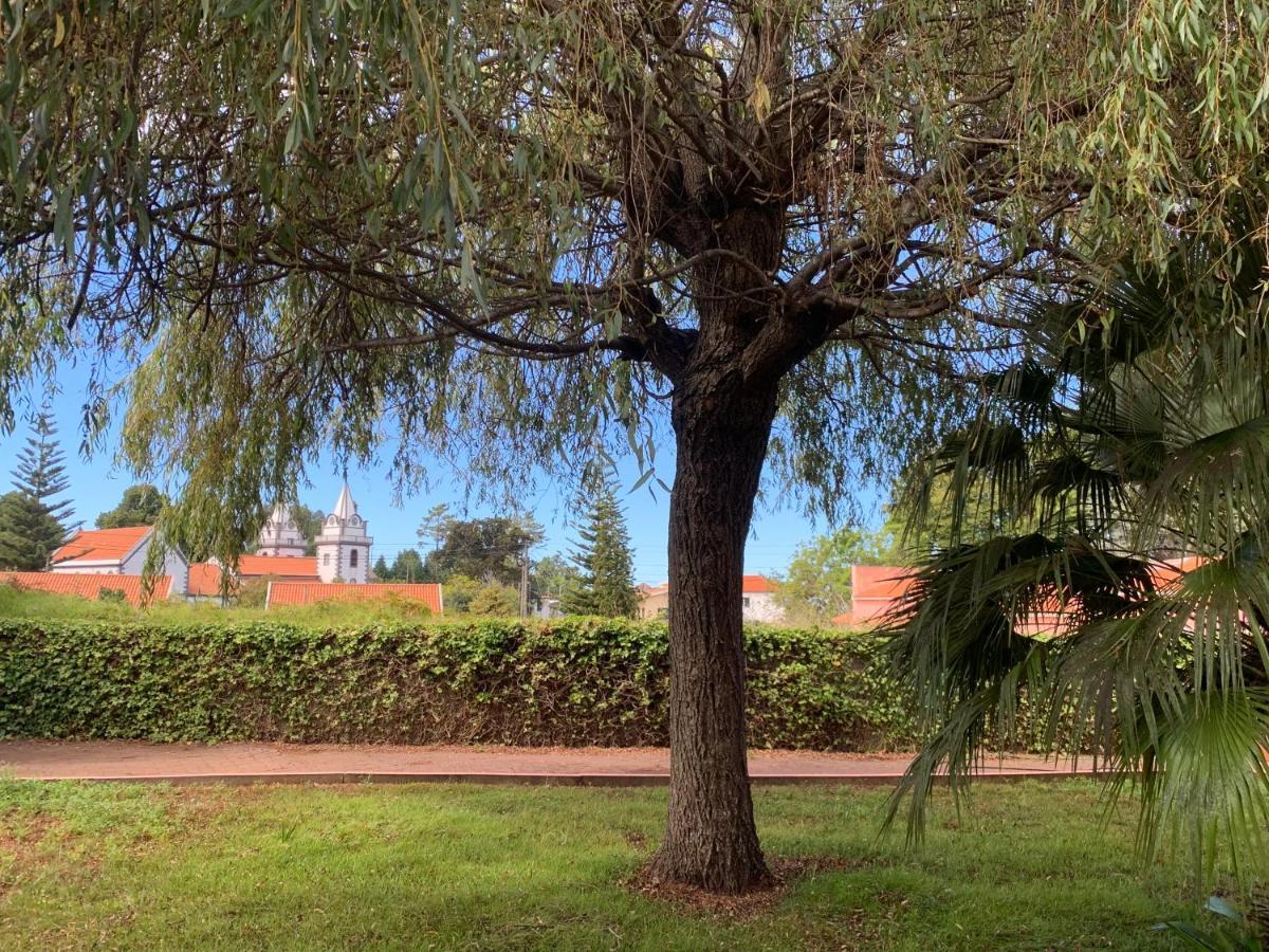 Casa De Cha
